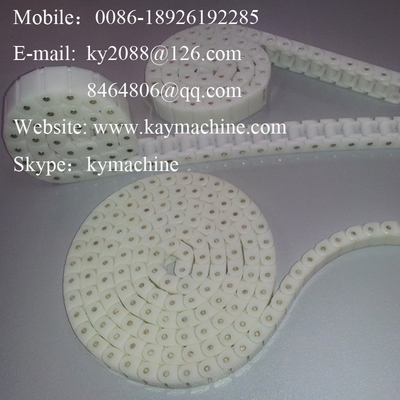 POM PP Plastic Straight Run Special Chain Miniature Chain Small double pitch chain China manufacturer factory producer